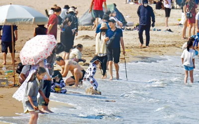  이른 더위에…바다로 ‘풍덩’