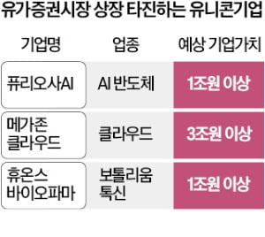 카지노 룰렛판 건너뛰고 코스피 노리는 'IPO 대어'