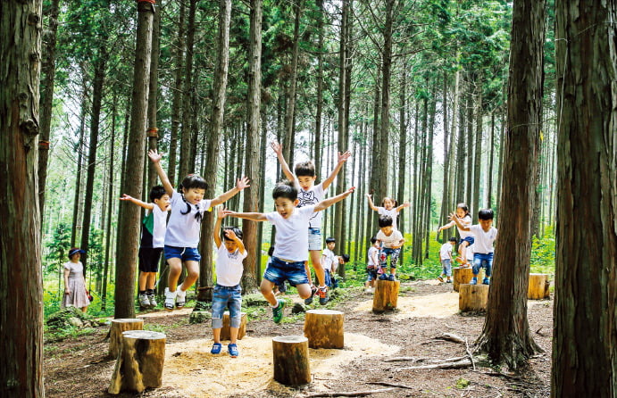 장흥 편백숲 우드랜드에서 아이들이 자연 체험을 하고 있다.  /전라남도 제공
 