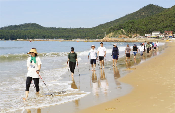 완도해양치유센터 해변에서 피서객들이 노르딕 워킹을 체험하고 있다.  /전라남도 제공
 