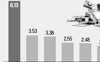 최고 8%…'여름 보너스' 중간배당주 찜