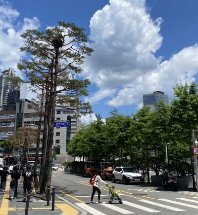 올해 봄 하늘 유독 맑았던 이유는