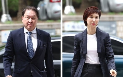 SK, 17일 최태원 회장 이혼 항소심<br>공식 입장 밝힌다