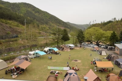 “무조건 2박에 현금결제” 캠핑장 예약 취소시 '은행 수수료도 챙겨'