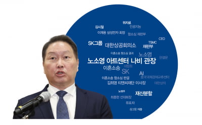 대법원 가는 ‘세기의 이혼소송’…SK그룹 지배구조 영향 촉각
