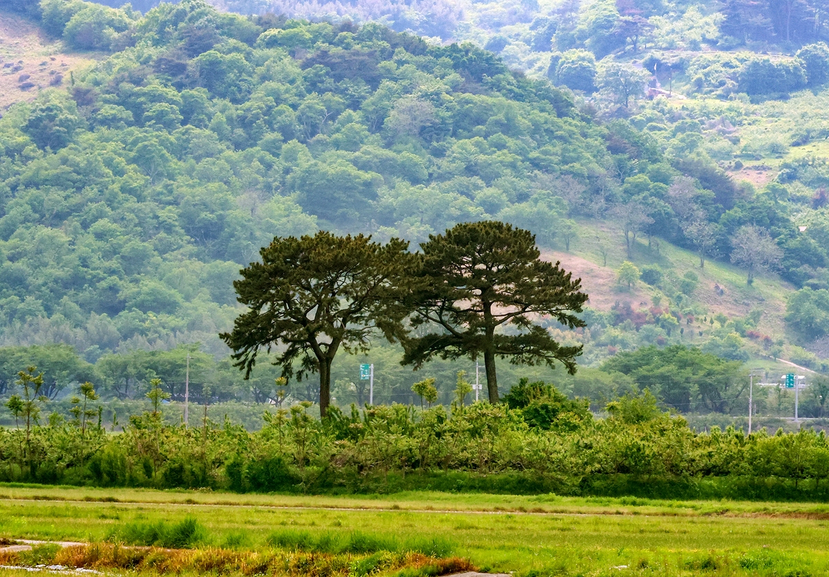 [걷고 싶은 길] 지리산, 섬진강, 악양들판을 잇는 박경리 토지길