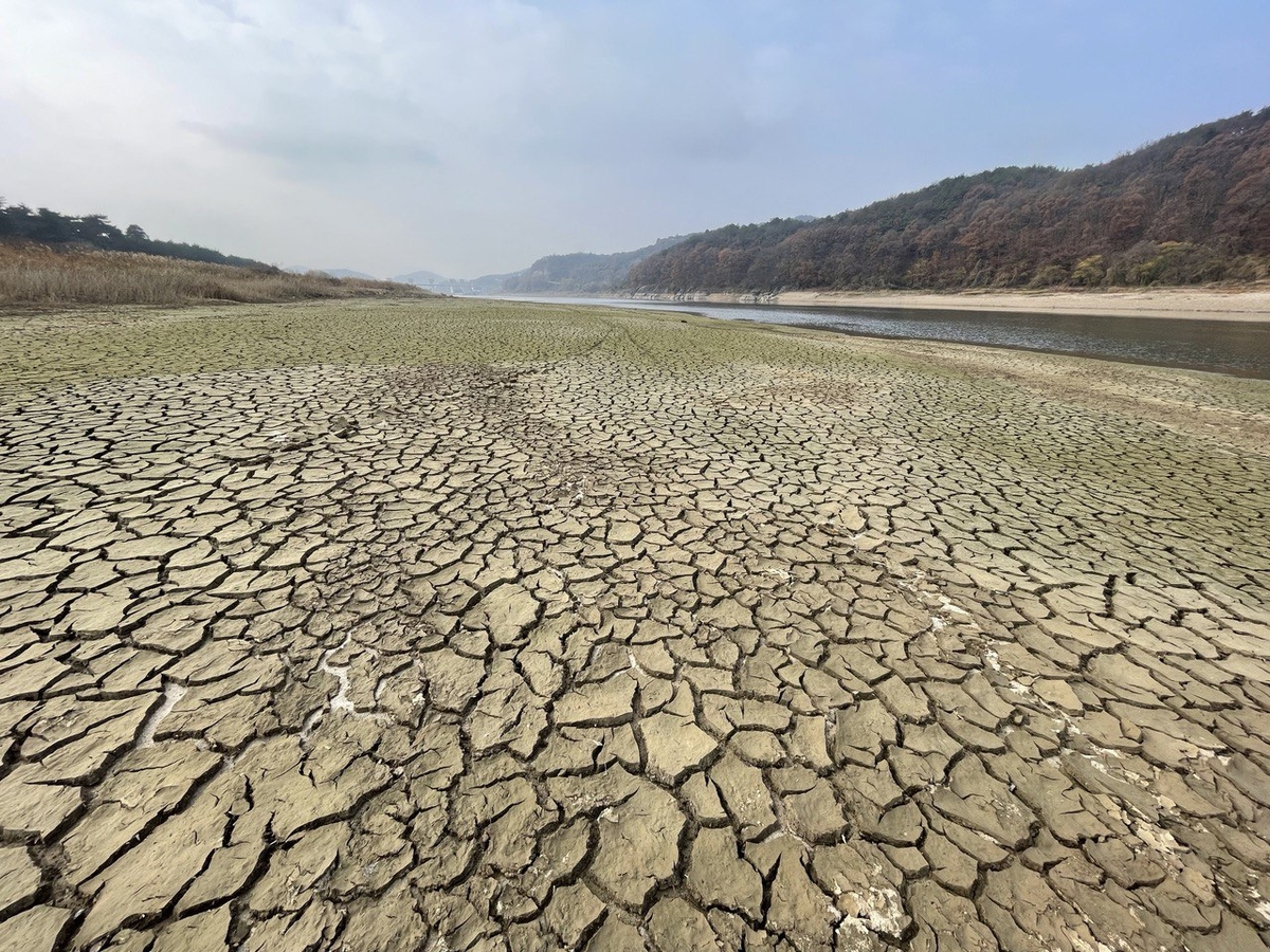 환경단체, '공주보 담수' 환경부·공주시 문화유산법 위반 고발