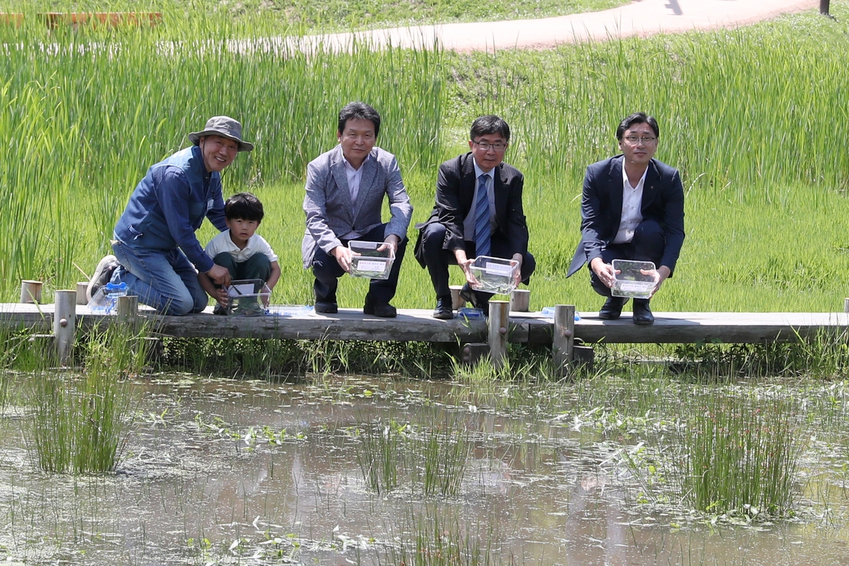 청주 상당산성 습지에 멸종위기 '물장군' 방사