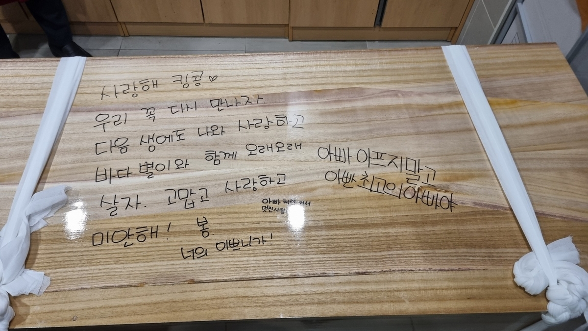 40대 전 인라인 국가대표, 뇌사장기기증으로 3명의 생명 살려