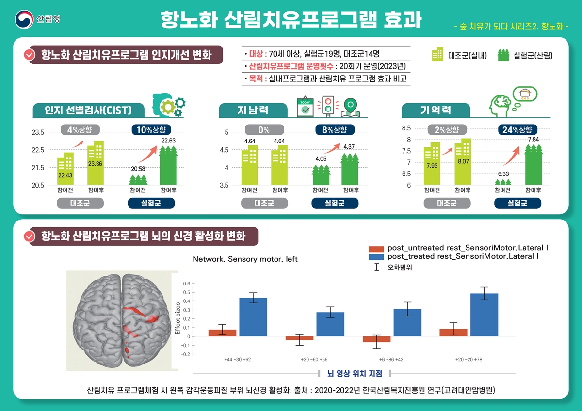 산림청 "항노화 산림치유 프로그램, 기억력 개선 효과"