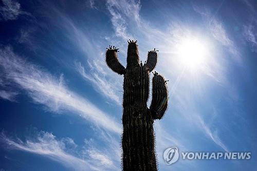 폭염부터 눈까지…미국에 이번주 '역대급 기상변덕' 닥친다