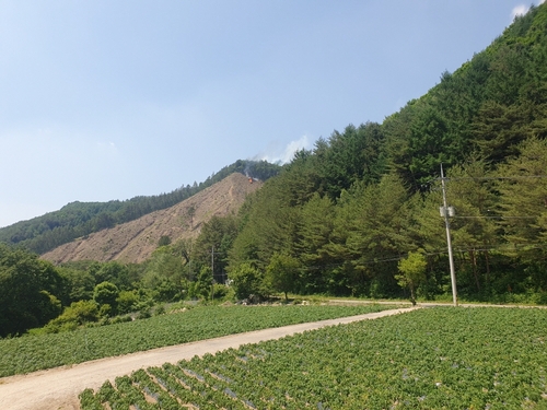 강원 평창서 산불…약 2시간 만에 꺼져(종합)