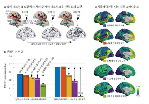 청소년기 조현병 유병률 높은 이유는…뇌 발달 시기 찾았다