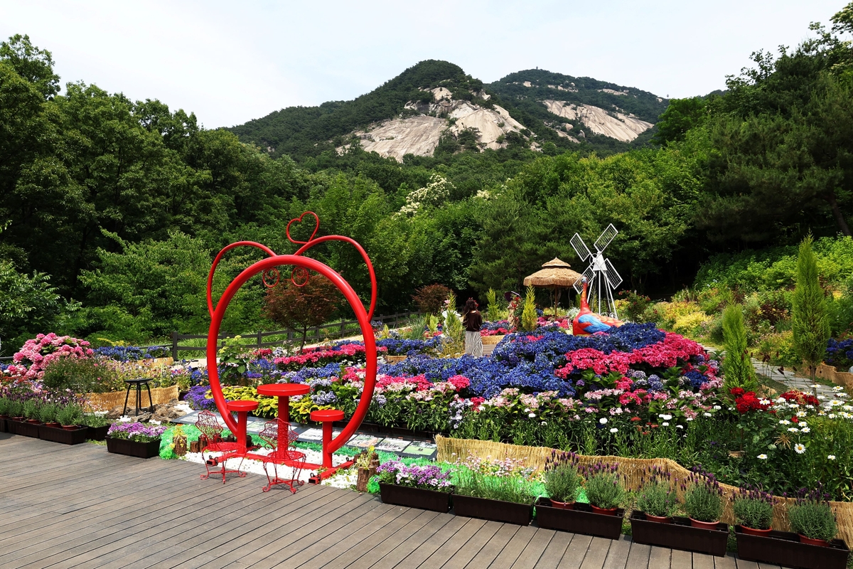 노원구 조직개편…보육·어르신·정원도시에 방점