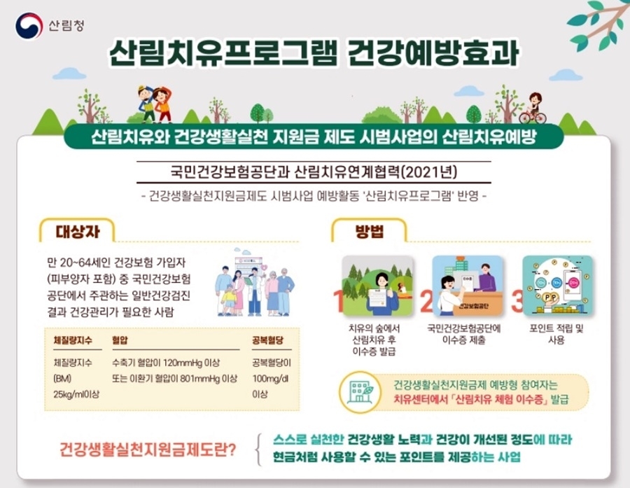 산림청 "산림치유 프로그램, 당뇨 스트레스·혈당 감소 효과"