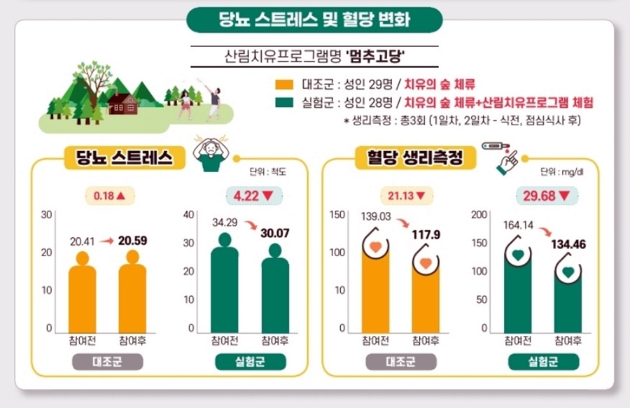 산림청 "산림치유 프로그램, 당뇨 스트레스·혈당 감소 효과"