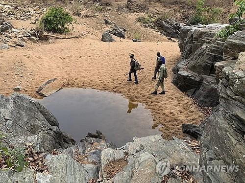 "나이지리아 서북부, 사헬 지하디스트 새 거점"