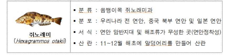 강원도, 고부가가치 어종 '쥐노래미' 10만 마리 방류