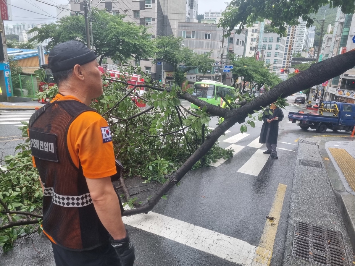 부산 강한 비바람에 옹벽 일부 붕괴 등 피해 잇따라