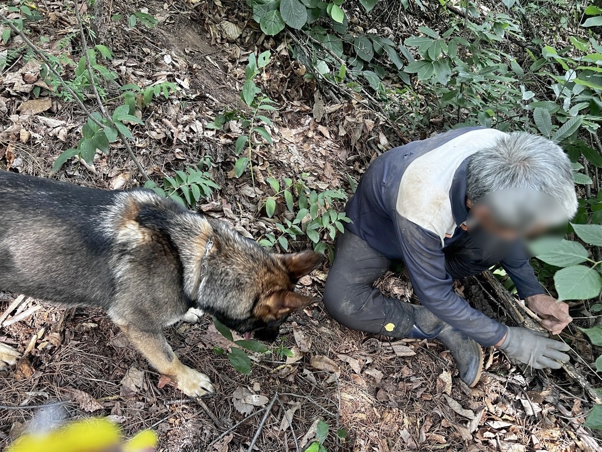 "멍멍! 여기 사람이"…하루 실종자 두번 찾아낸 구조견 '고고'