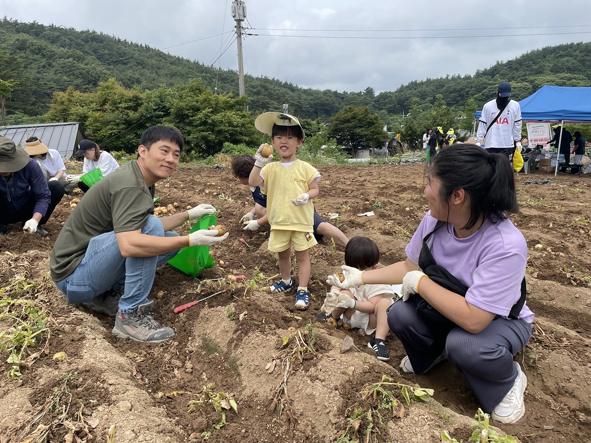 서산 팔봉산 감자축제에 3만명 방문…2억8천만원 매출