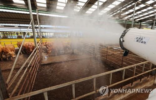 [전국 레이더] '무덥고 비 많다'…지자체, 장마·폭염 대비 총력