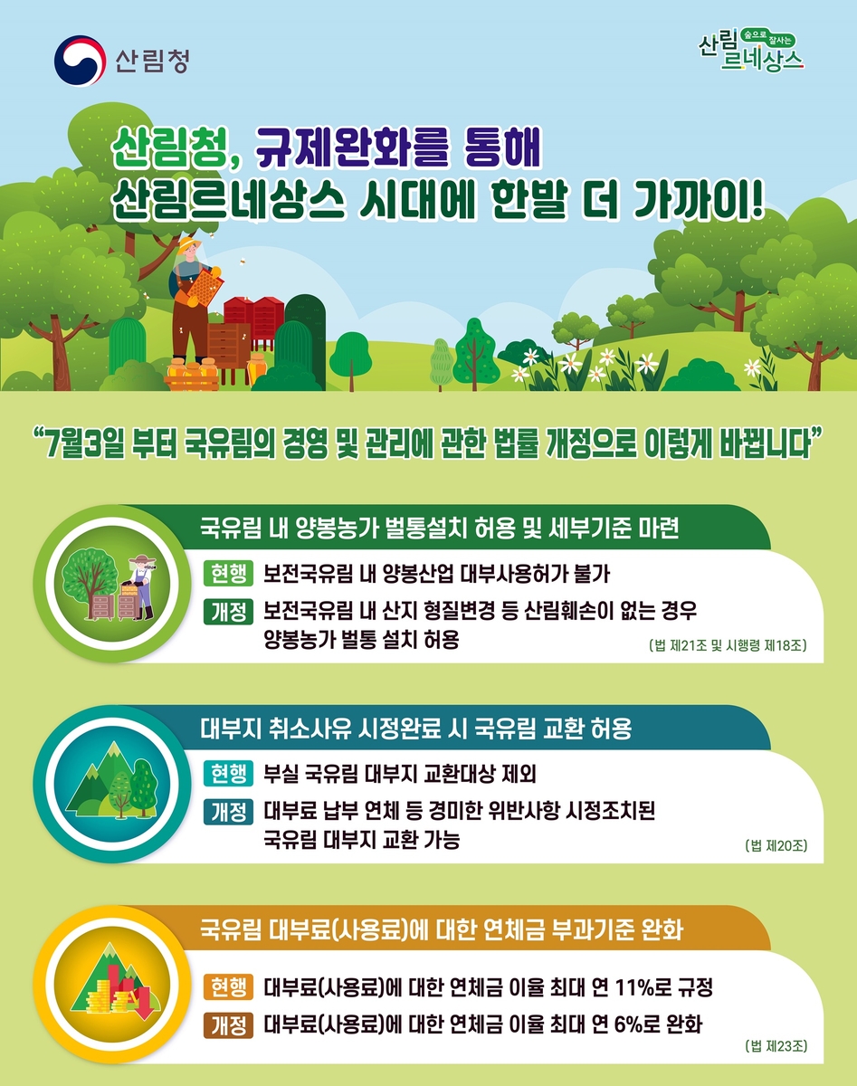 "양봉산업 활성화" 산림청, 내달부터 국유림 내 벌통 설치 허용