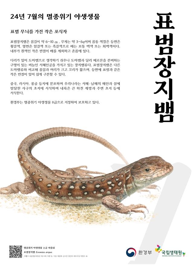 서울 중랑천에도 살았던 '표범장지뱀'…7월 멸종위기종 선정