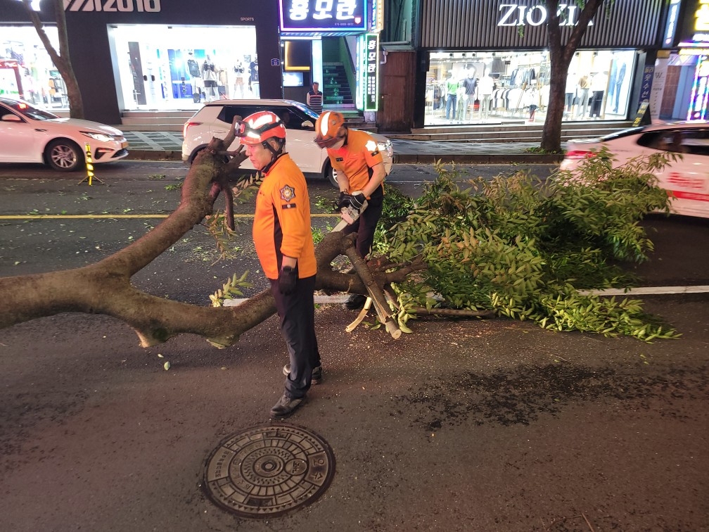 제주 한라산 초속 26ｍ 강풍…펜스 날아가고 가로수 쓰러져