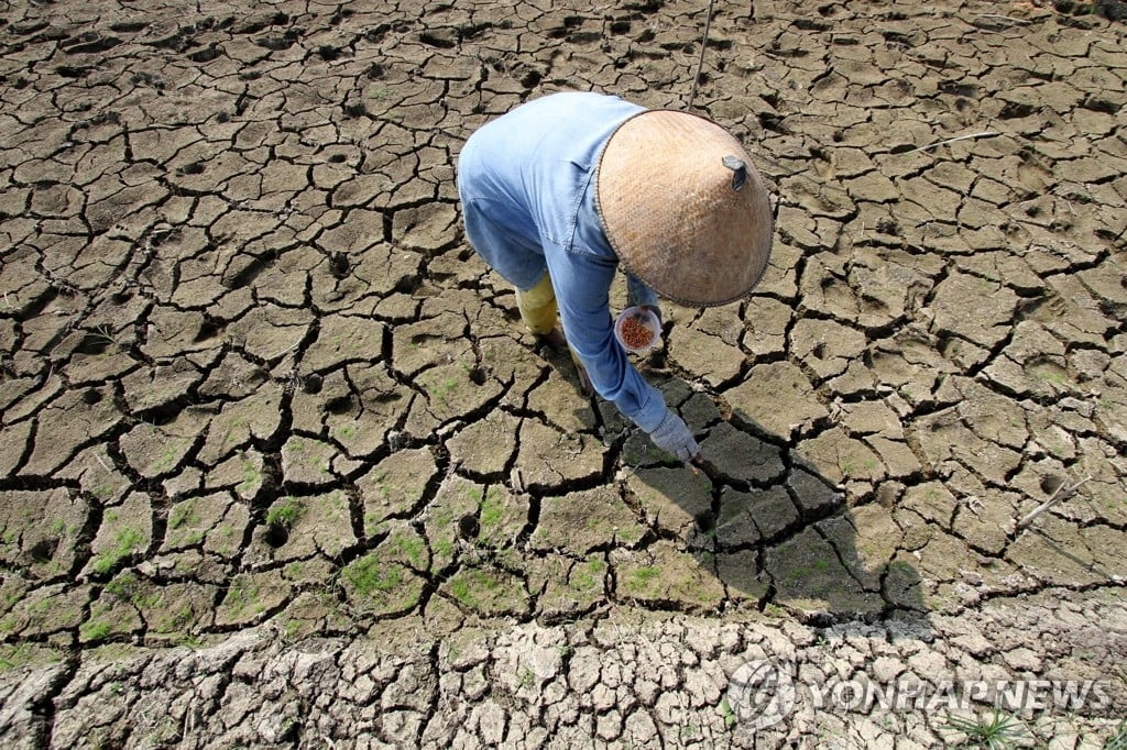 또…5월 세계 기온, 역대 최고 찍었다