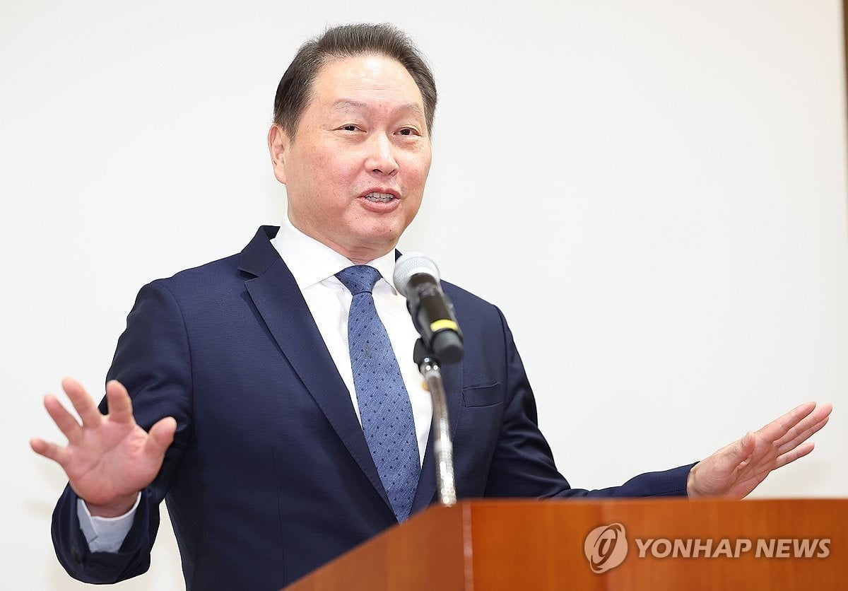 최태원, 이혼소송 '판결문 수정' 불복 재항고