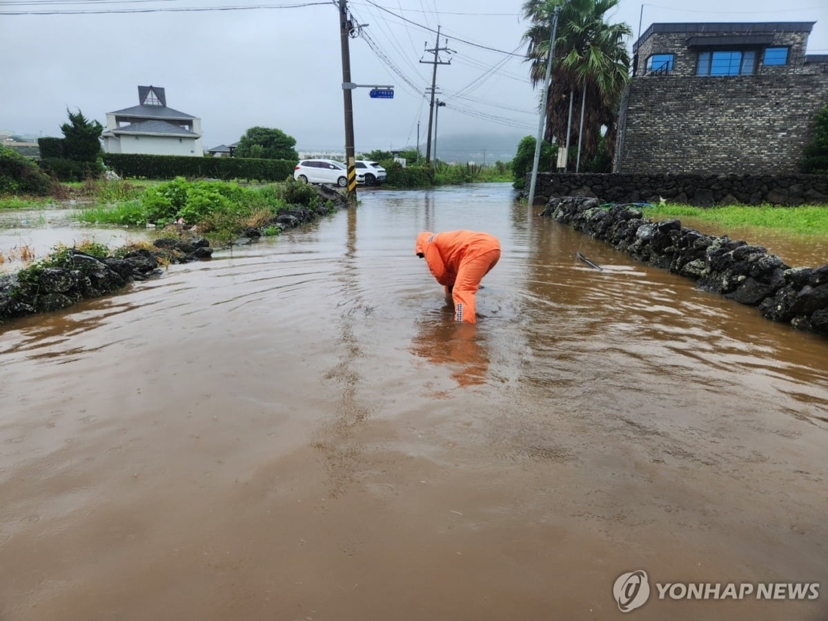 전국에 '시간당 30~50㎜' 집중호우…일요일까지 계속