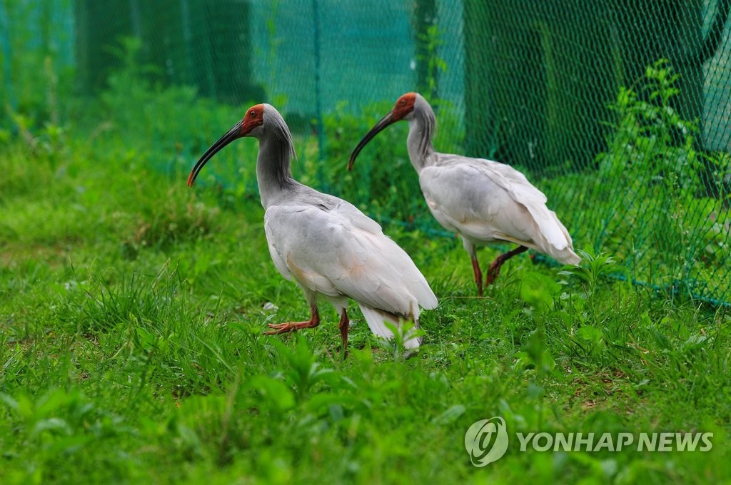 '따오기로 맺은 인연' 창녕군, 중국 한중시 방문