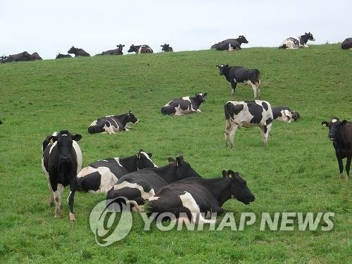 뉴질랜드, 소 트림에 온실가스 비용 부과 계획 폐지키로