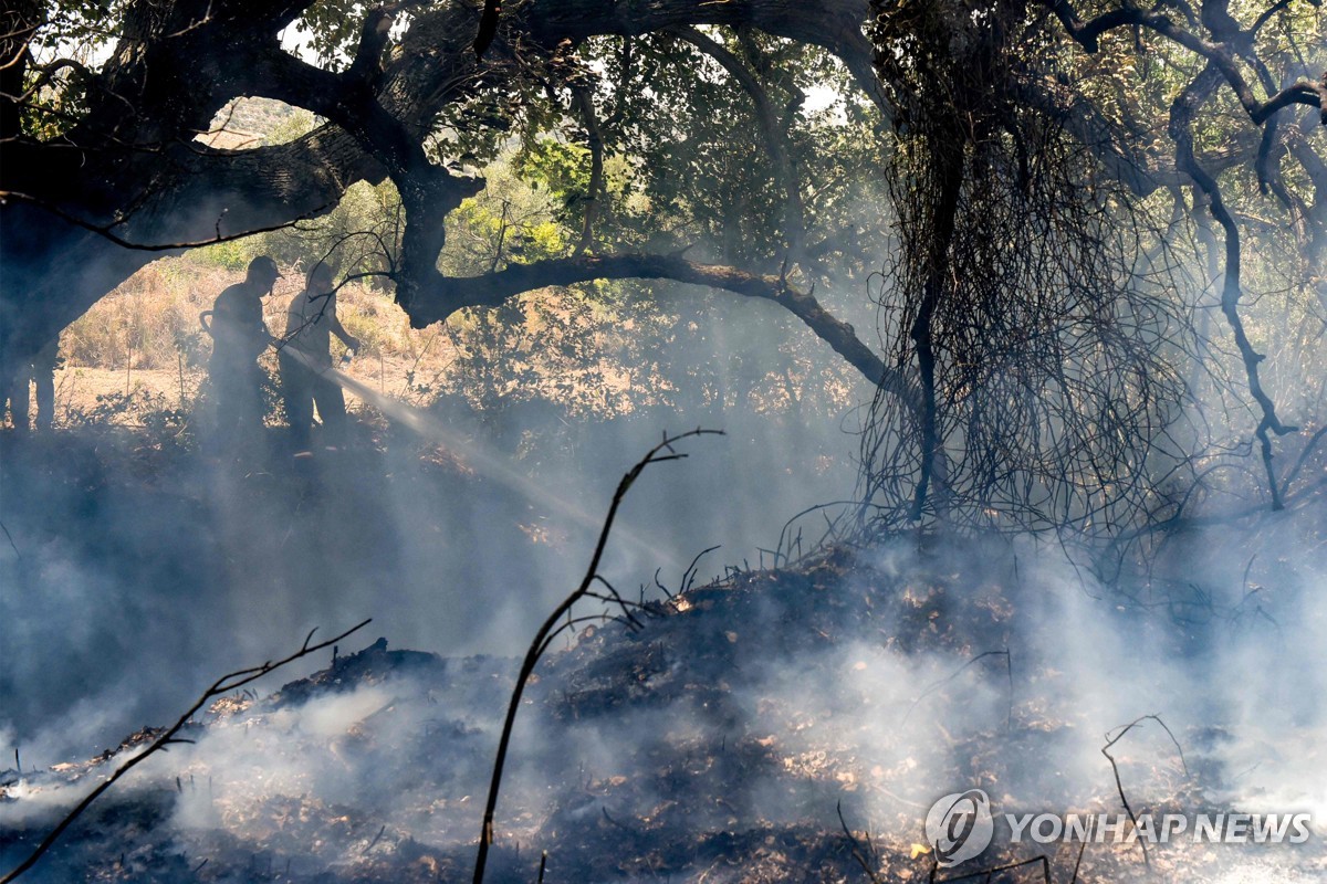 아테네 신전 문 닫고 튀르키예엔 산불…벌써 펄펄 끓는 북반구