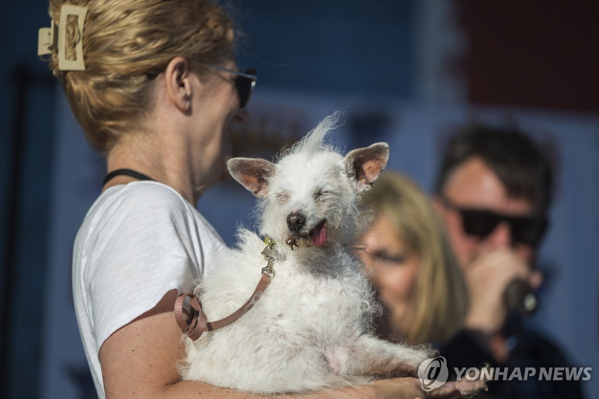 '세계에서 가장 못생긴 개'…올해 우승은 여덟살 페니키즈