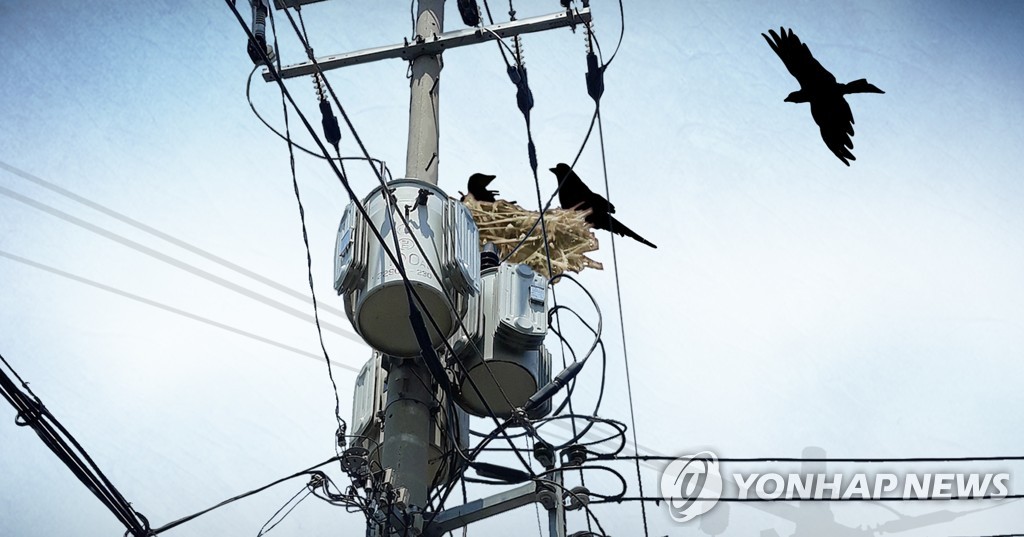 "까마귀 고압선 접촉"…부산 연제구 492가구 정전