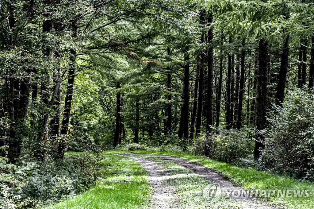 "석탄 싣고 달리던 운탄고도 걸어요" 삼척시, 29일 트레킹 행사