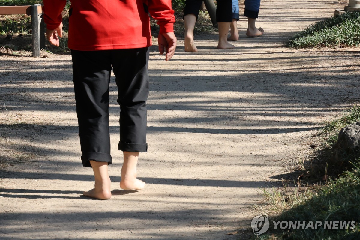 "대관령 숲길 맨발로 걸어요" 가톨릭관동대, 산림치유축제 개최