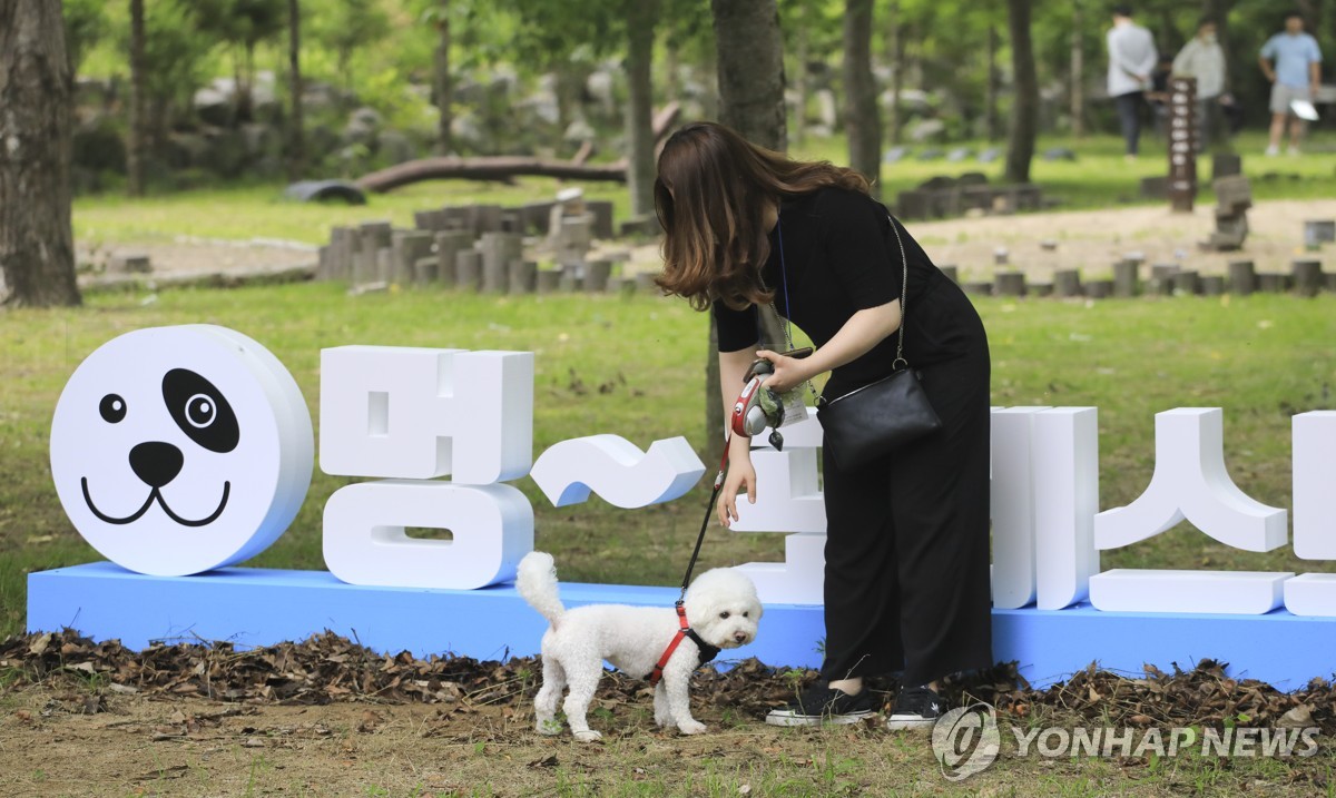 저출산 나비효과…G마켓 "반려견 사료 판매량, 아기 분유 추월"