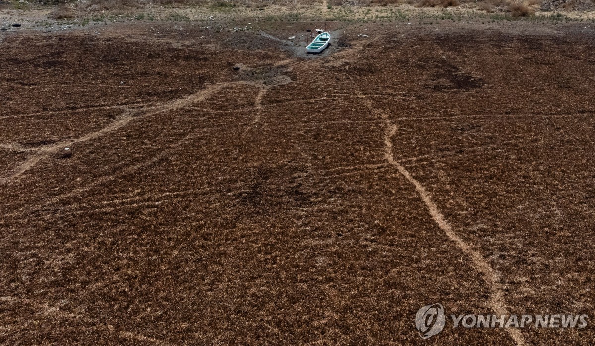 멕시코 물부족 이유 있었네…강우량 절반·기온 역대 최고