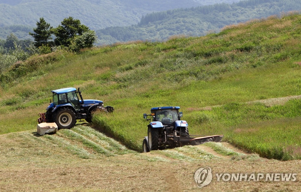 전북 동계 조사료 재배면적 2만7천ha…41만t 생산