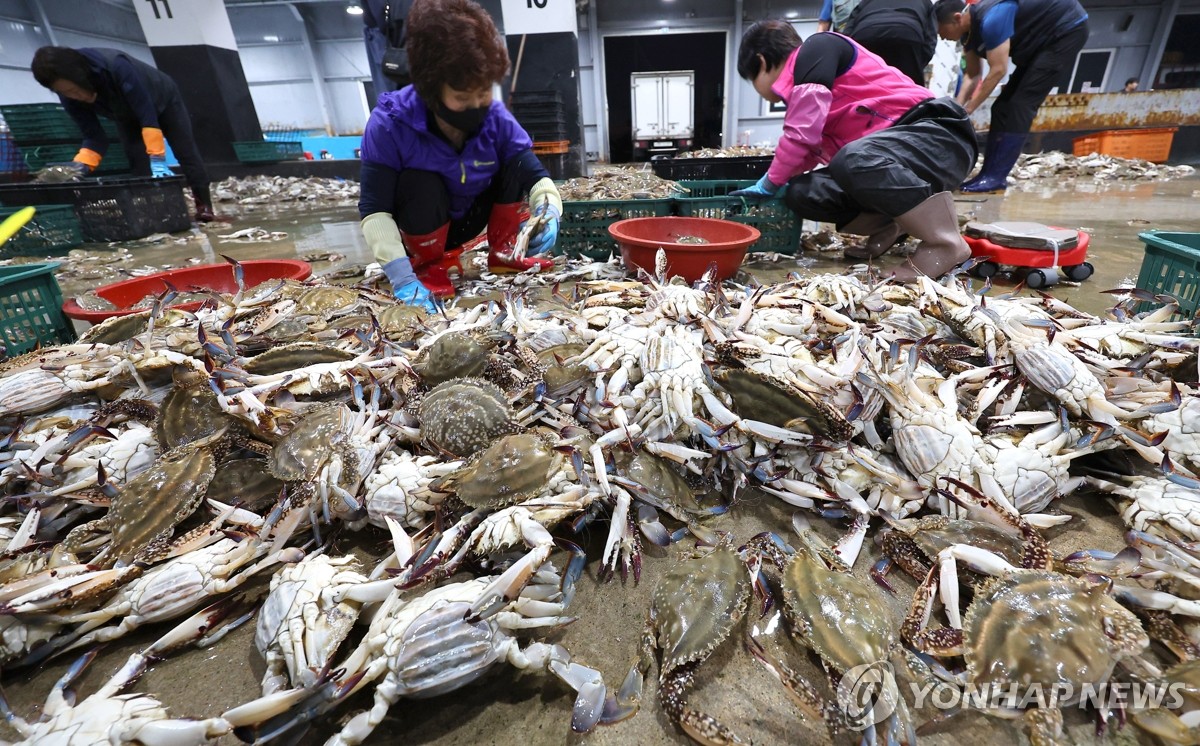 7월부터 꽃게·붉은대게 잡는 '연안어업'도 어획량 제한