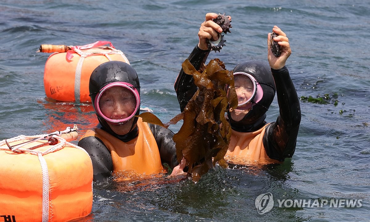 전국해녀협회 설립 발기인대회 26∼27일 제주서 개최