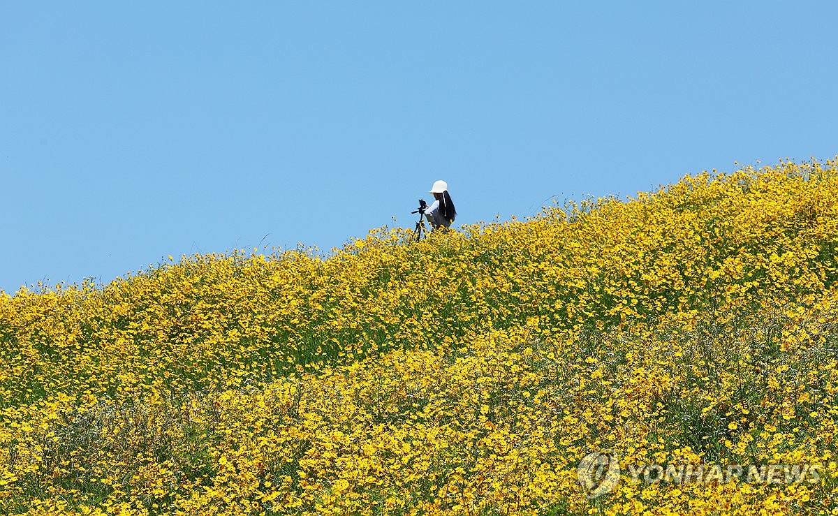 [내일날씨] 대부분 낮 25도 이상·서울 29도…큰 일교차