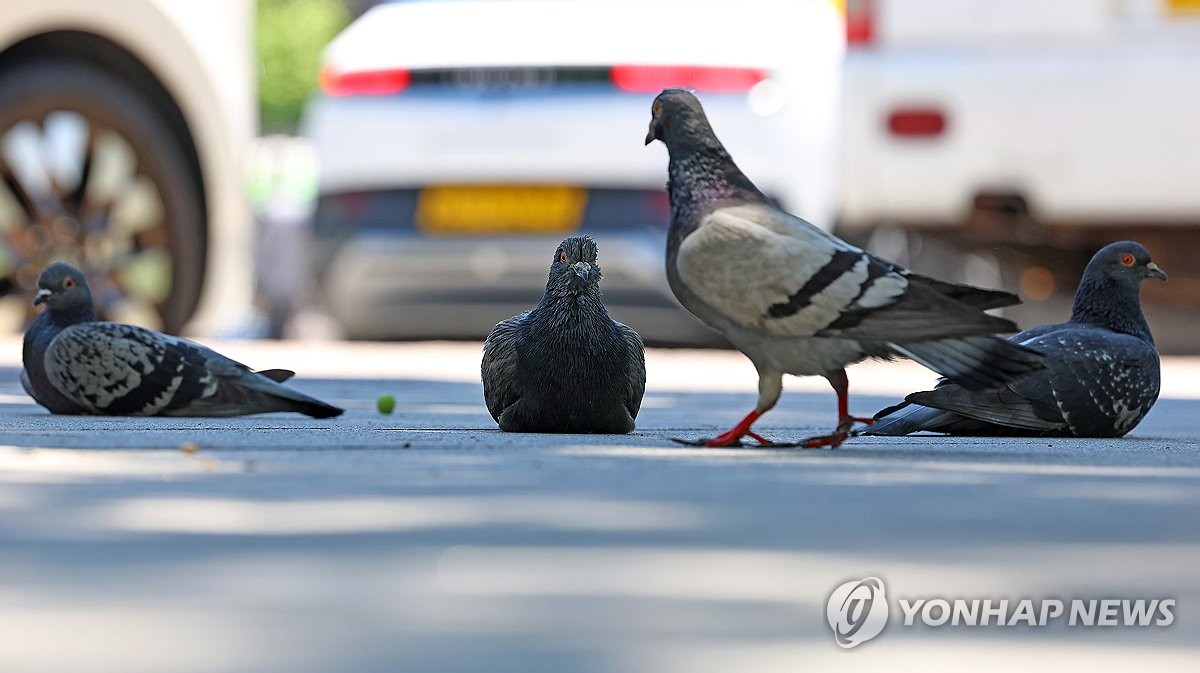 낮 최고 23∼31도…전국 곳곳 소나기