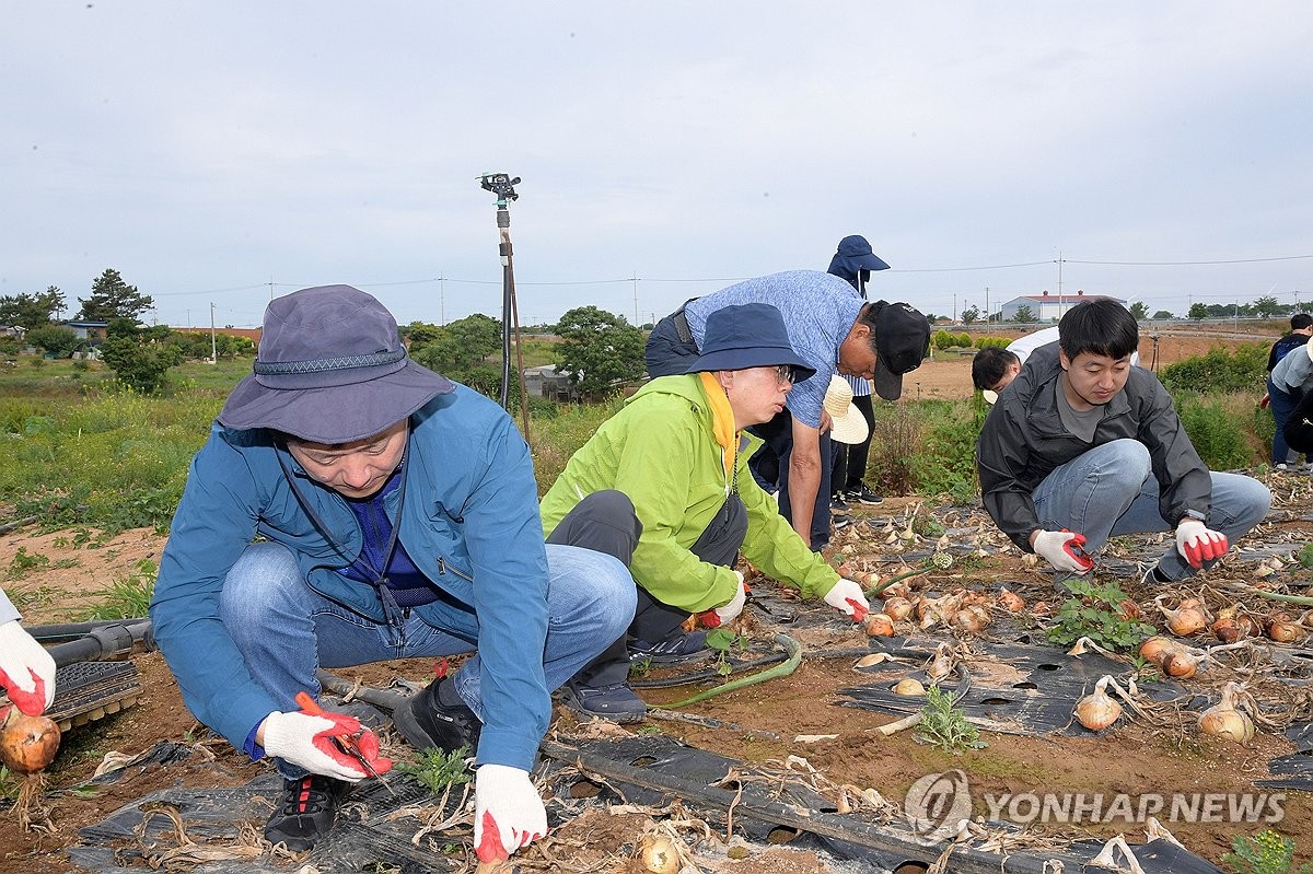 광주시장·전남지사·무안군수 7월 중 공항 이전 '3자 회동'(종합)