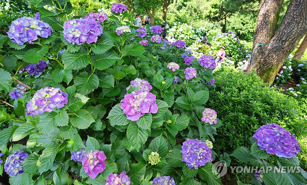 제주 가끔 구름 많음…낮 최고 24∼26도