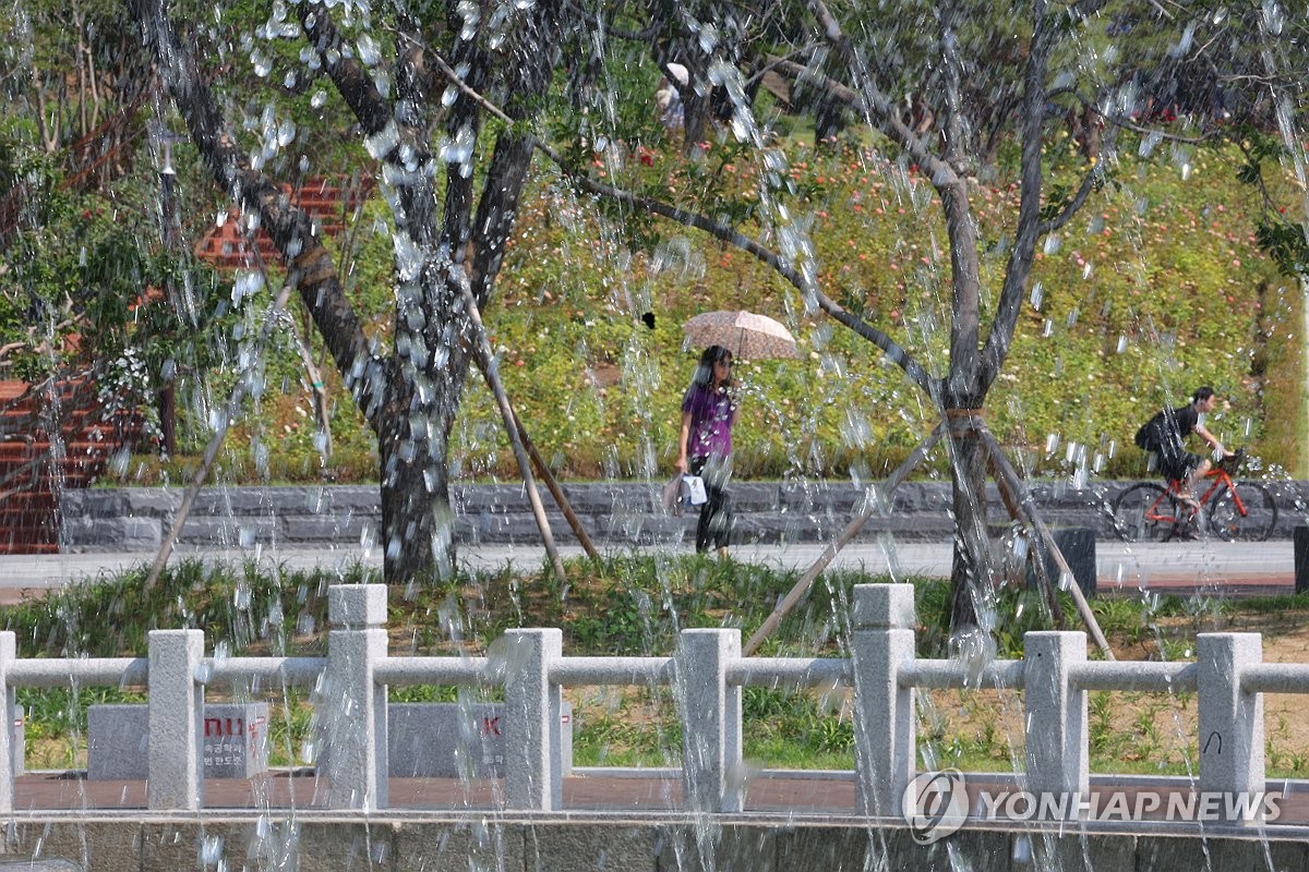 "더위 피하러 새벽에 밭에 나왔지"…본격 여름 시작된 대구