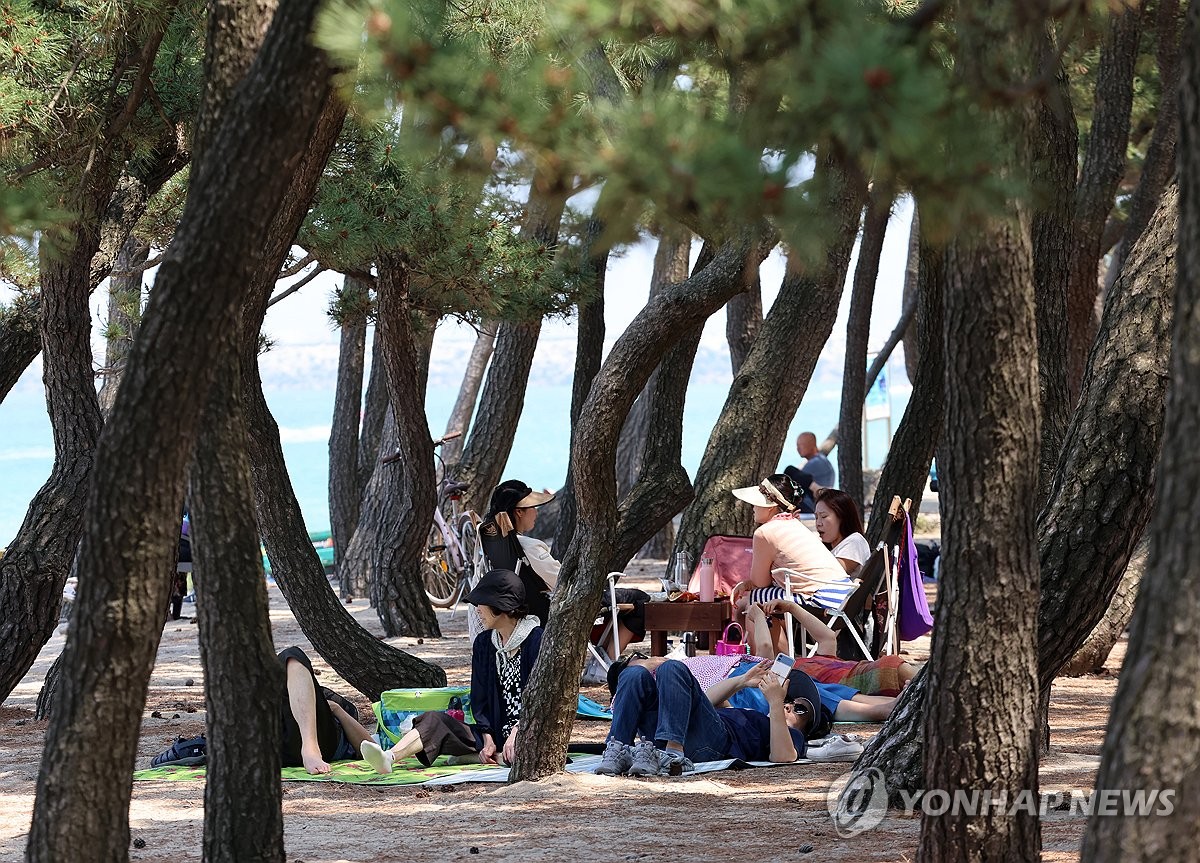 강원 곳곳 30도 안팎 푹푹찌는 찜통더위…강릉은 올해 첫 열대야(종합)